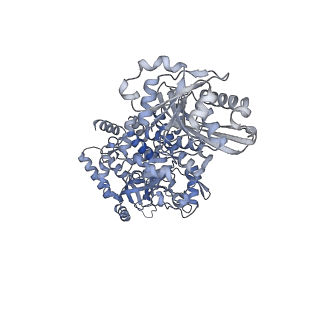 28248_8emh_H_v1-2
CryoEM characterization of a unique AAA+ BrxL phage restriction factor