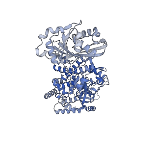 28248_8emh_I_v1-2
CryoEM characterization of a unique AAA+ BrxL phage restriction factor