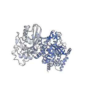 28248_8emh_J_v1-2
CryoEM characterization of a unique AAA+ BrxL phage restriction factor