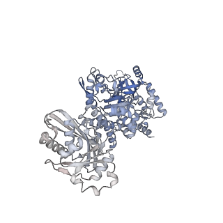 28248_8emh_K_v1-2
CryoEM characterization of a unique AAA+ BrxL phage restriction factor