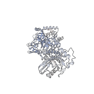28248_8emh_L_v1-2
CryoEM characterization of a unique AAA+ BrxL phage restriction factor