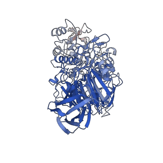 28262_8emr_A_v1-1
Cryo-EM structure of human liver glucosidase II