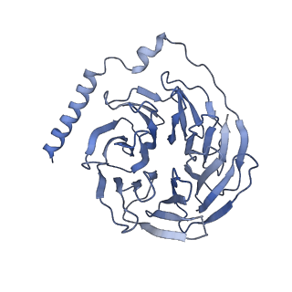 28267_8emw_B_v1-0
Phospholipase C beta 3 (PLCb3) in complex with Gbg on liposomes