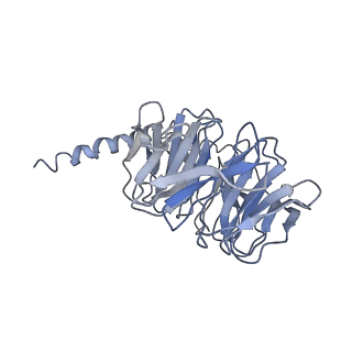 28267_8emw_C_v1-0
Phospholipase C beta 3 (PLCb3) in complex with Gbg on liposomes