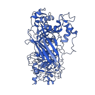 28268_8emx_A_v1-0
Phospholipase C beta 3 (PLCb3) in complex with Gbg on lipid nanodiscs
