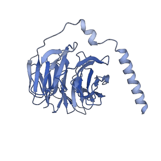 28268_8emx_B_v1-0
Phospholipase C beta 3 (PLCb3) in complex with Gbg on lipid nanodiscs