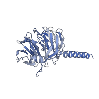 28268_8emx_C_v1-0
Phospholipase C beta 3 (PLCb3) in complex with Gbg on lipid nanodiscs