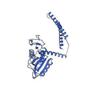 31191_7emf_0_v1-2
Human Mediator (deletion of MED1-IDR) in a Tail-extended conformation