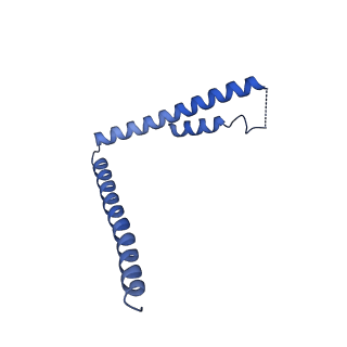 31191_7emf_1_v1-2
Human Mediator (deletion of MED1-IDR) in a Tail-extended conformation