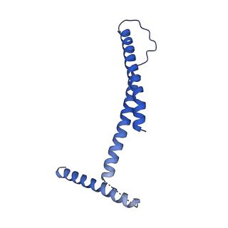 31191_7emf_2_v1-2
Human Mediator (deletion of MED1-IDR) in a Tail-extended conformation