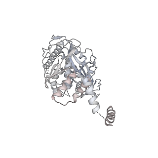 31191_7emf_A_v1-2
Human Mediator (deletion of MED1-IDR) in a Tail-extended conformation