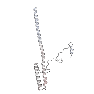 31191_7emf_G_v1-2
Human Mediator (deletion of MED1-IDR) in a Tail-extended conformation
