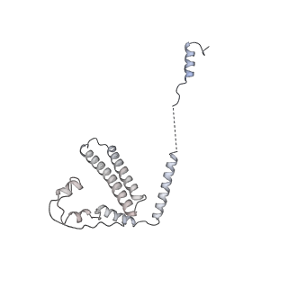 31191_7emf_H_v1-2
Human Mediator (deletion of MED1-IDR) in a Tail-extended conformation