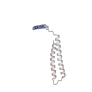 31191_7emf_K_v1-2
Human Mediator (deletion of MED1-IDR) in a Tail-extended conformation