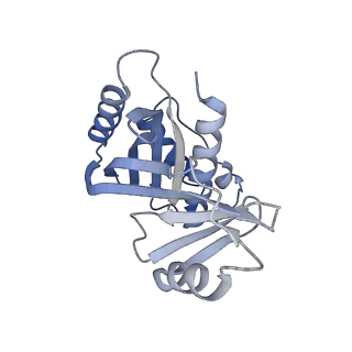 31191_7emf_T_v1-2
Human Mediator (deletion of MED1-IDR) in a Tail-extended conformation