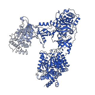 31198_7emy_A_v1-1
Pyochelin synthetase, a dimeric nonribosomal peptide synthetase elongation module
