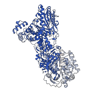 31198_7emy_B_v1-1
Pyochelin synthetase, a dimeric nonribosomal peptide synthetase elongation module