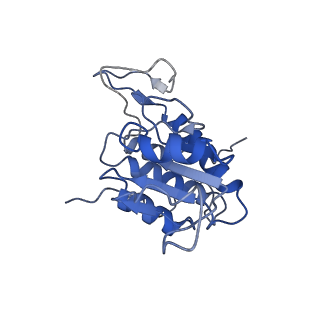 3886_6eml_P_v1-3
Cryo-EM structure of a late pre-40S ribosomal subunit from Saccharomyces cerevisiae