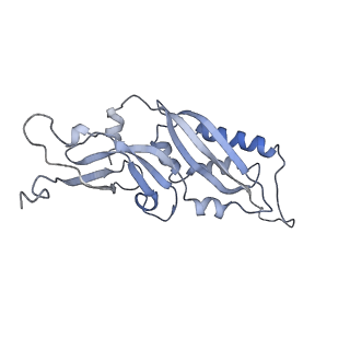 3886_6eml_Q_v1-3
Cryo-EM structure of a late pre-40S ribosomal subunit from Saccharomyces cerevisiae