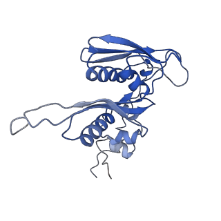 3886_6eml_R_v1-3
Cryo-EM structure of a late pre-40S ribosomal subunit from Saccharomyces cerevisiae