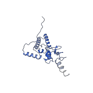 3886_6eml_W_v1-3
Cryo-EM structure of a late pre-40S ribosomal subunit from Saccharomyces cerevisiae