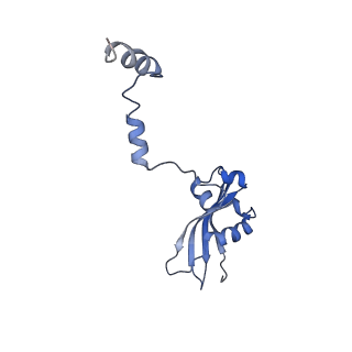 3886_6eml_d_v1-3
Cryo-EM structure of a late pre-40S ribosomal subunit from Saccharomyces cerevisiae