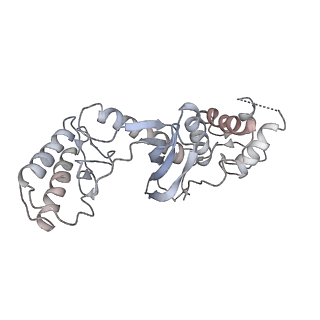 3886_6eml_r_v1-3
Cryo-EM structure of a late pre-40S ribosomal subunit from Saccharomyces cerevisiae