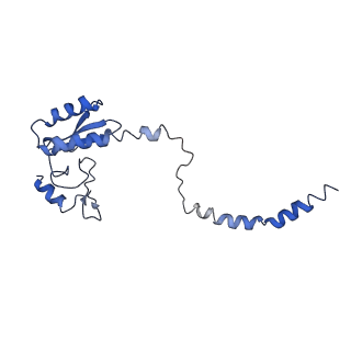 3893_6em1_3_v1-0
State C (Nsa1-TAP Flag-Ytm1) - Visualizing the assembly pathway of nucleolar pre-60S ribosomes
