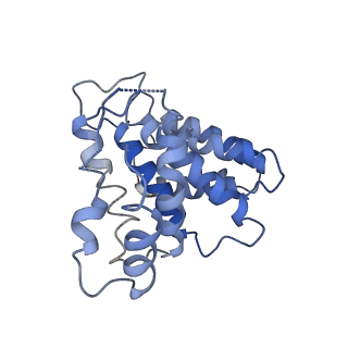 3893_6em1_4_v1-0
State C (Nsa1-TAP Flag-Ytm1) - Visualizing the assembly pathway of nucleolar pre-60S ribosomes