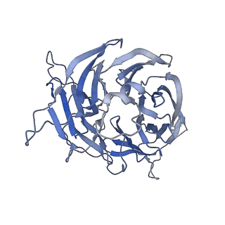3893_6em1_5_v1-0
State C (Nsa1-TAP Flag-Ytm1) - Visualizing the assembly pathway of nucleolar pre-60S ribosomes