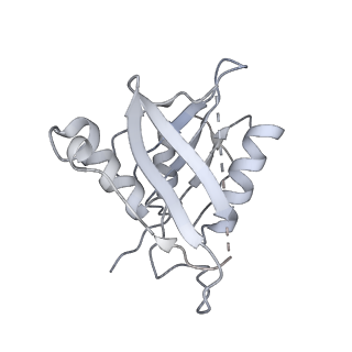 3893_6em1_A_v1-0
State C (Nsa1-TAP Flag-Ytm1) - Visualizing the assembly pathway of nucleolar pre-60S ribosomes