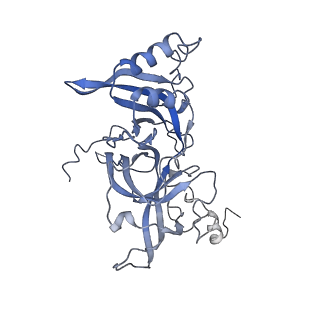 3893_6em1_B_v1-0
State C (Nsa1-TAP Flag-Ytm1) - Visualizing the assembly pathway of nucleolar pre-60S ribosomes