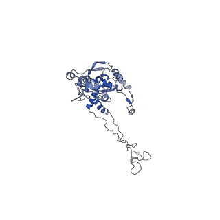3893_6em1_C_v1-0
State C (Nsa1-TAP Flag-Ytm1) - Visualizing the assembly pathway of nucleolar pre-60S ribosomes