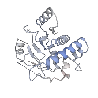 3893_6em1_D_v1-0
State C (Nsa1-TAP Flag-Ytm1) - Visualizing the assembly pathway of nucleolar pre-60S ribosomes