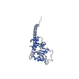3893_6em1_F_v1-0
State C (Nsa1-TAP Flag-Ytm1) - Visualizing the assembly pathway of nucleolar pre-60S ribosomes