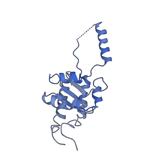 3893_6em1_G_v1-0
State C (Nsa1-TAP Flag-Ytm1) - Visualizing the assembly pathway of nucleolar pre-60S ribosomes