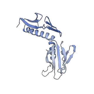 3893_6em1_H_v1-0
State C (Nsa1-TAP Flag-Ytm1) - Visualizing the assembly pathway of nucleolar pre-60S ribosomes