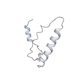 3893_6em1_J_v1-0
State C (Nsa1-TAP Flag-Ytm1) - Visualizing the assembly pathway of nucleolar pre-60S ribosomes