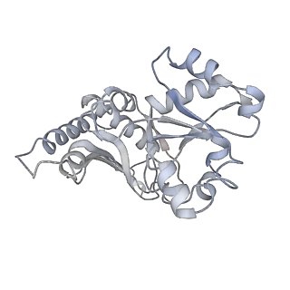 3893_6em1_K_v1-0
State C (Nsa1-TAP Flag-Ytm1) - Visualizing the assembly pathway of nucleolar pre-60S ribosomes