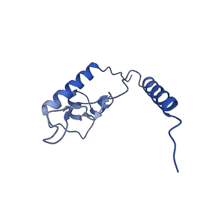 3893_6em1_L_v1-0
State C (Nsa1-TAP Flag-Ytm1) - Visualizing the assembly pathway of nucleolar pre-60S ribosomes