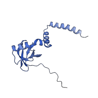 3893_6em1_M_v1-0
State C (Nsa1-TAP Flag-Ytm1) - Visualizing the assembly pathway of nucleolar pre-60S ribosomes