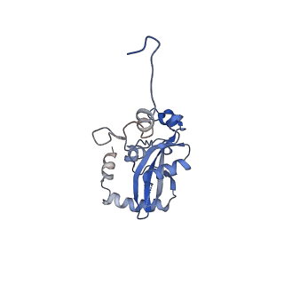 3893_6em1_N_v1-0
State C (Nsa1-TAP Flag-Ytm1) - Visualizing the assembly pathway of nucleolar pre-60S ribosomes