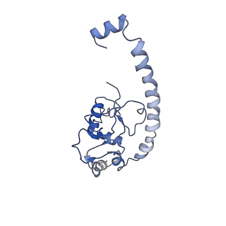 3893_6em1_O_v1-0
State C (Nsa1-TAP Flag-Ytm1) - Visualizing the assembly pathway of nucleolar pre-60S ribosomes