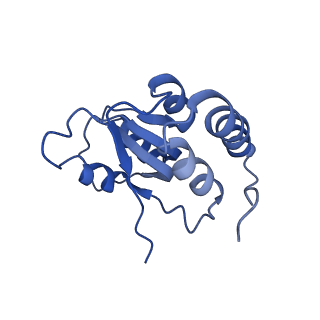 3893_6em1_Q_v1-0
State C (Nsa1-TAP Flag-Ytm1) - Visualizing the assembly pathway of nucleolar pre-60S ribosomes