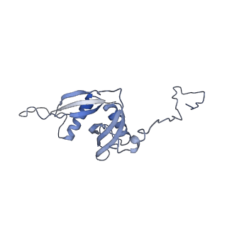 3893_6em1_S_v1-0
State C (Nsa1-TAP Flag-Ytm1) - Visualizing the assembly pathway of nucleolar pre-60S ribosomes