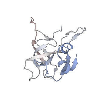 3893_6em1_V_v1-0
State C (Nsa1-TAP Flag-Ytm1) - Visualizing the assembly pathway of nucleolar pre-60S ribosomes