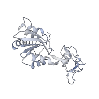 3893_6em1_W_v1-0
State C (Nsa1-TAP Flag-Ytm1) - Visualizing the assembly pathway of nucleolar pre-60S ribosomes