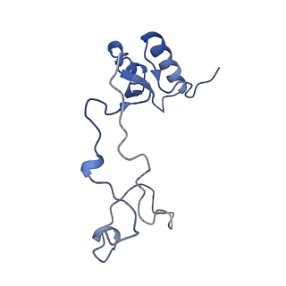 3893_6em1_e_v1-0
State C (Nsa1-TAP Flag-Ytm1) - Visualizing the assembly pathway of nucleolar pre-60S ribosomes