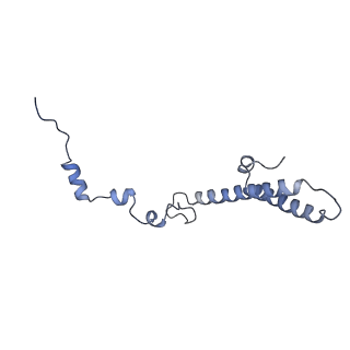 3893_6em1_h_v1-0
State C (Nsa1-TAP Flag-Ytm1) - Visualizing the assembly pathway of nucleolar pre-60S ribosomes