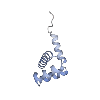 3893_6em1_i_v1-0
State C (Nsa1-TAP Flag-Ytm1) - Visualizing the assembly pathway of nucleolar pre-60S ribosomes